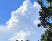 西宁天气预报,西宁7天天气预报,西宁15天天气预报,西宁天气查询